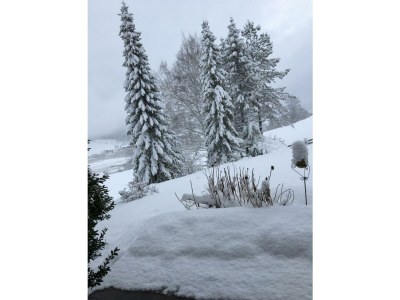 Apartment Tanja's Kaiserdomizil - Outdoor photo 35