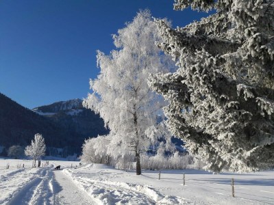 Apartment Ferienhaus Blösl - Outdoor photo 24