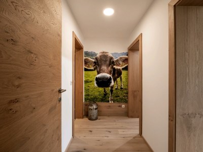 Apartment Appartement/Fewo, Dusche und Bad, WC, 2 Schlafräum - Features photo 24