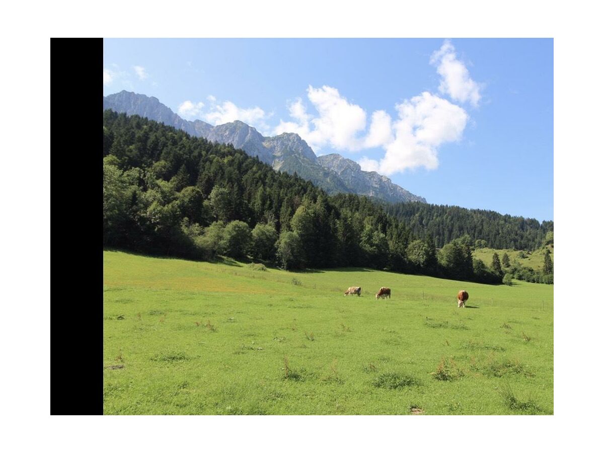 Apartment Zahmer Kaiser 2 - Outdoor photo 4