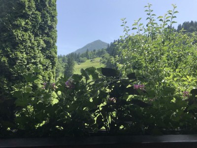 Apartment Zahmer Kaiser 2 - Outdoor photo 6