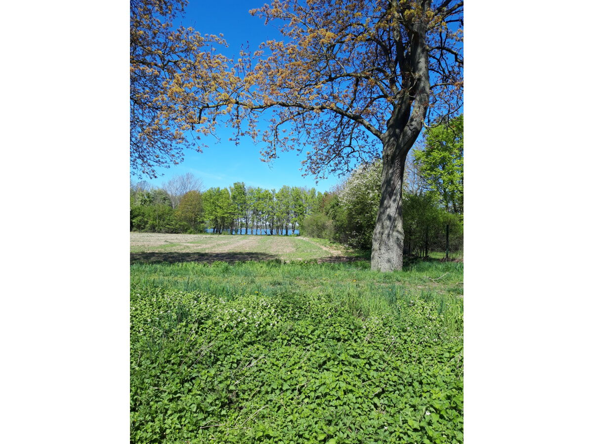 Holiday house Haus Xantenamera - Outdoor photo 5