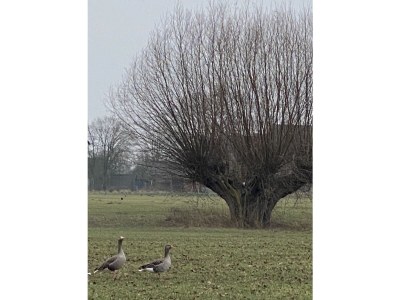 Holiday house Haus Xantenamera - Environment photo 28