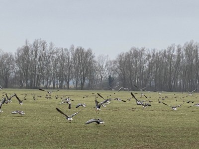 Holiday house Haus Xantenamera - Environment photo 29