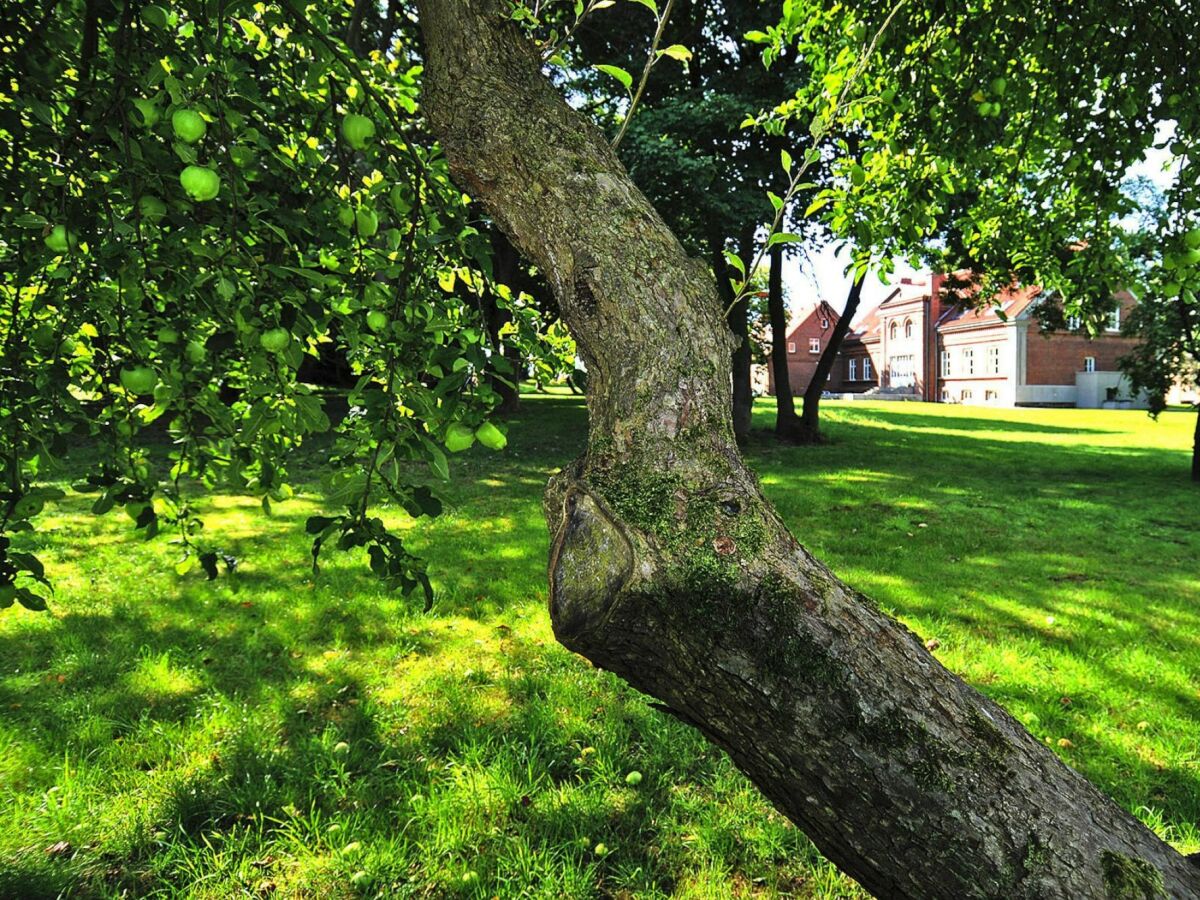 Holiday house Haus-Nr: DOS07136-DYD