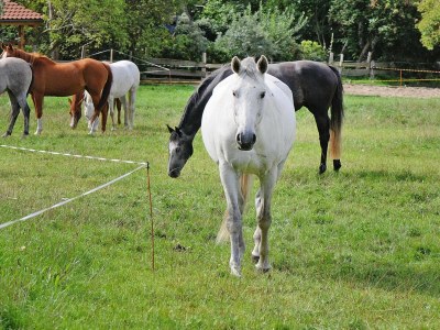 Holiday house Haus-Nr: DOS07136-DYD - Outdoor photo 3