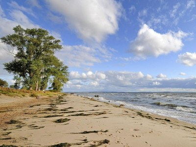 Holiday house Haus-Nr: DOS07136-DYD - Outdoor photo 18