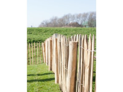 Villa North Sea 5 Stars Holiday House Vacation with dog, sauna, fireplace, fence - Outdoor photo 6