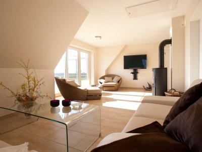 Villa North Sea 5 Stars Holiday House Vacation with dog, sauna, fireplace, fence - Features photo 9