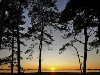 Holiday house Gutshaus Zicker in Garz - Environment photo 15