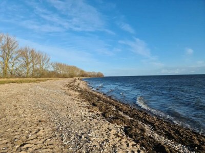 Holiday house Gutshaus Zicker in Garz - Environment photo 16