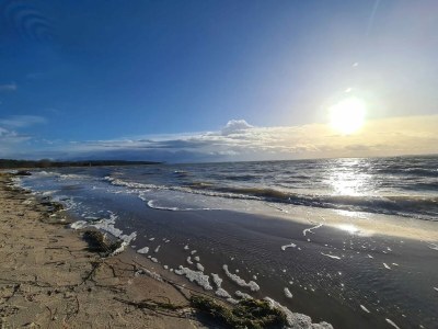 Holiday house Gutshaus Zicker in Garz - Environment photo 19