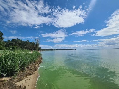 Holiday house Gutshaus Zicker in Garz - Environment photo 22