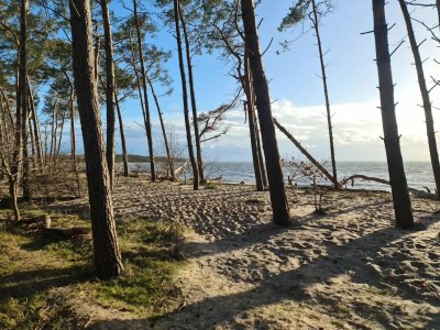 Holiday house Gutshaus Zicker in Garz - Environment photo 24