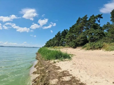 Holiday house Gutshaus Zicker in Garz - Environment photo 25