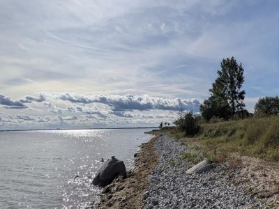 Holiday house Gutshaus Zicker in Garz - Environment photo 26