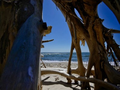 Holiday house Gutshaus Zicker in Garz - Environment photo 29
