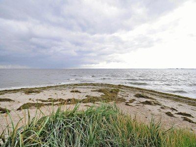 Holiday house Gutshaus Zicker in Garz - Environment photo 32