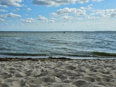 Holiday house Gutshaus Zicker in Garz - Environment photo 36