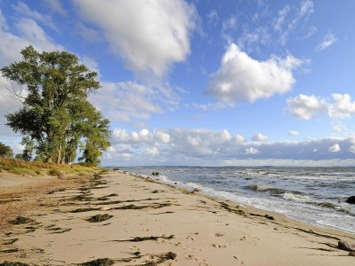 Holiday house Gutshaus Zicker in Garz - Outdoor photo 2