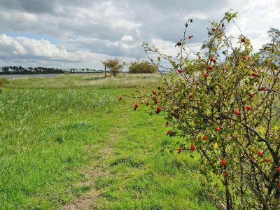 Holiday house Gutshaus Zicker in Garz - Outdoor photo 5