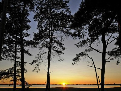Holiday house Gutshaus Zicker in Garz - Outdoor photo 7
