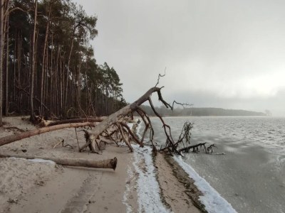 Holiday house Gutshaus Zicker in Garz - Environment photo 16