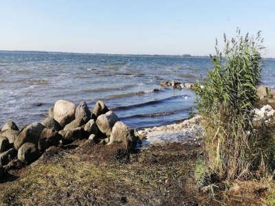 Holiday house Gutshaus Zicker in Garz - Environment photo 17