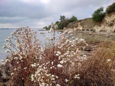 Holiday house Gutshaus Zicker in Garz - Environment photo 19