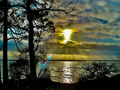 Holiday house Gutshaus Zicker in Garz - Environment photo 28