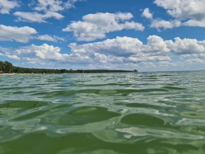 Holiday house Gutshaus Zicker in Garz - Environment photo 37