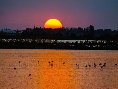 Apartment Beachside Stay, Rosolina Mare - Environment photo 27