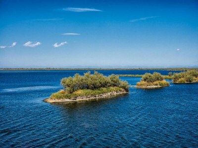 Apartment Beachside Stay, Rosolina Mare - Environment photo 38