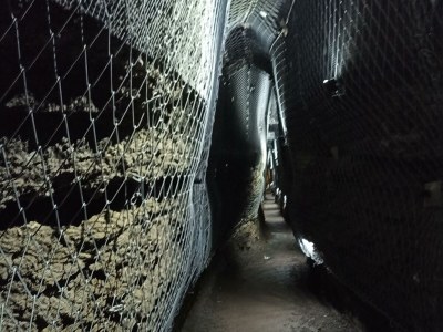 Apartment 5-Bett-Ferienwohnung Apfelbaum (bis 6 Personen) - Outdoor photo 15