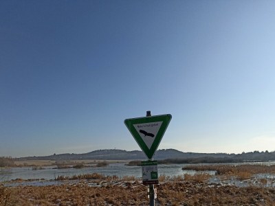 Apartment 5-Bett-Ferienwohnung Apfelbaum (bis 6 Personen) - Outdoor photo 23