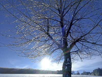Apartment 5-Bett-Ferienwohnung Apfelbaum (bis 6 Personen) - Outdoor photo 31
