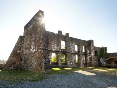 Apartment 5-Bett-Ferienwohnung Apfelbaum (bis 6 Personen) - Outdoor photo 39