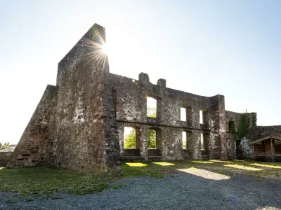 Apartment 5-Bett-Ferienwohnung Apfelbaum (bis 6 Personen) - Outdoor photo 40