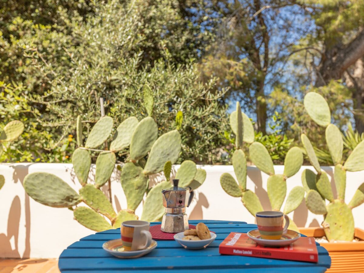 Villa Villa Oasi Verde - Carovigno - Environment photo 4