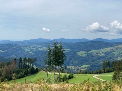 Holiday apartment Haus Gisela - Zimermann - Environment photo 17