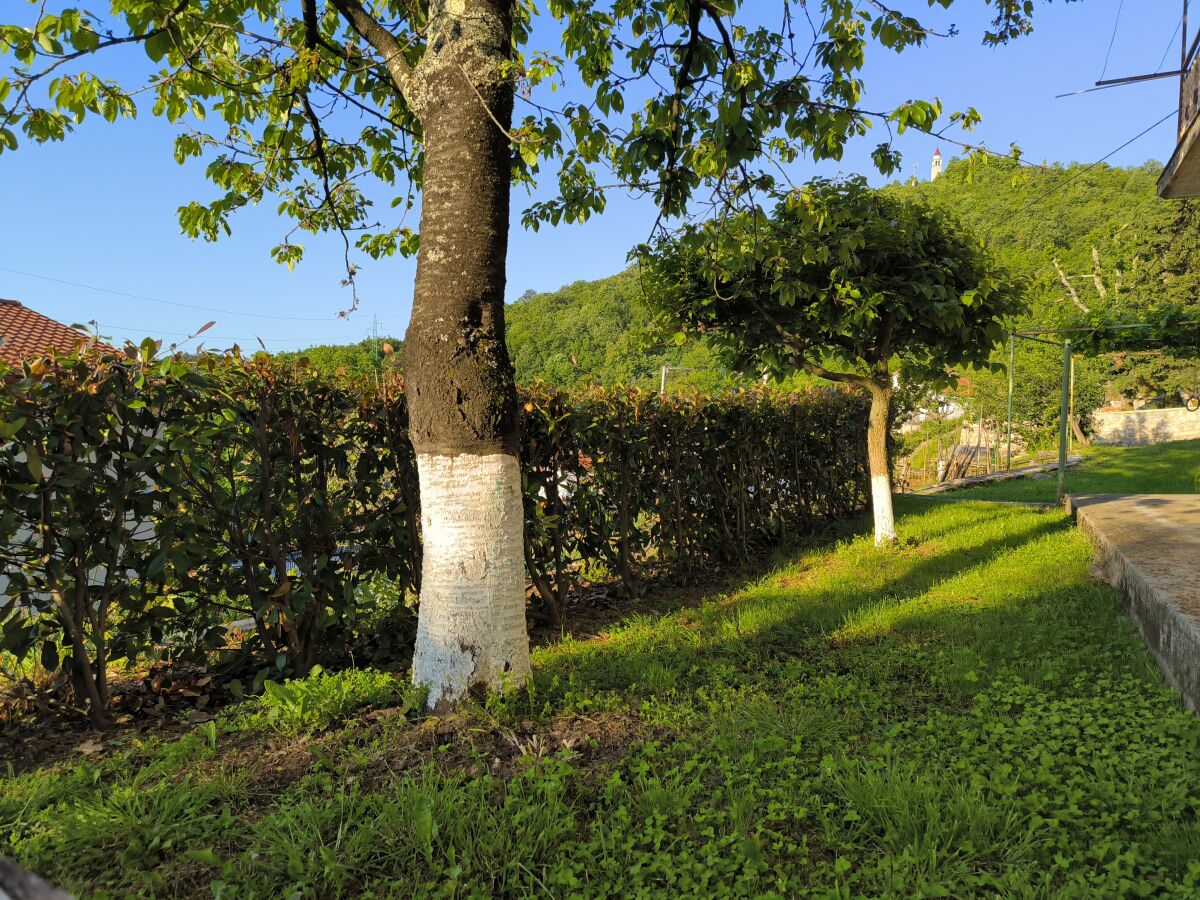 Holiday apartment Kukurin 2 - Outdoor photo 2