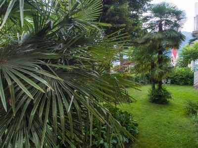 Holiday apartment Residence Diana - Outdoor photo 12