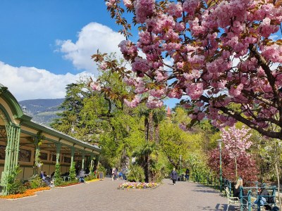 Holiday apartment Residence Diana - Environment photo 25