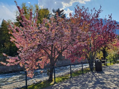 Holiday apartment Residence Diana - Environment photo 27