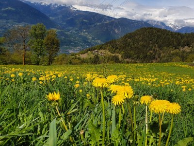 Holiday apartment Residence Diana - Environment photo 33