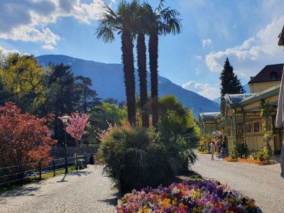 Holiday apartment Residence Diana - Environment photo 34