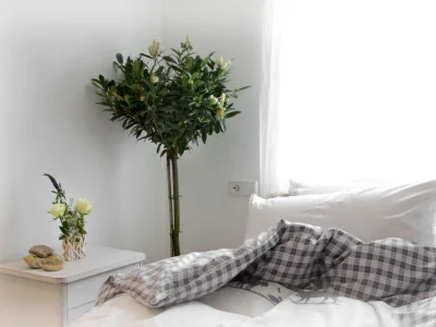 Holiday house historic Schauberhof built in 1747 - Features photo 11