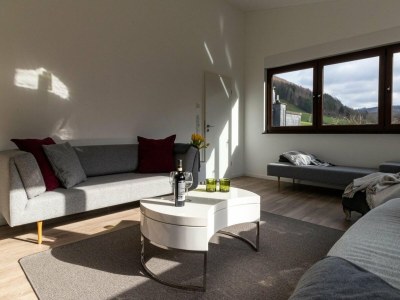 Holiday house Modernes Split-Level Haus nahe am Hennesee - Features photo 9