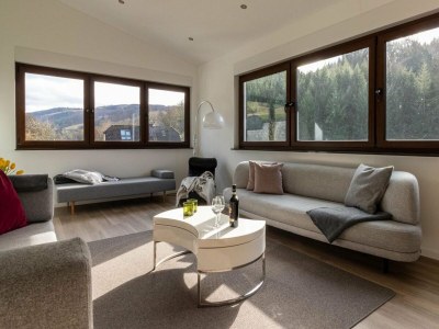 Holiday house Modernes Split-Level Haus nahe am Hennesee - Features photo 10