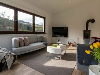 Holiday house Modernes Split-Level Haus nahe am Hennesee - Features photo 11